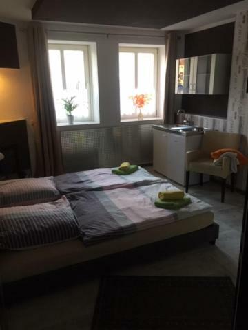 Doja Medical Wellness Center Διαμέρισμα Bernburg Εξωτερικό φωτογραφία